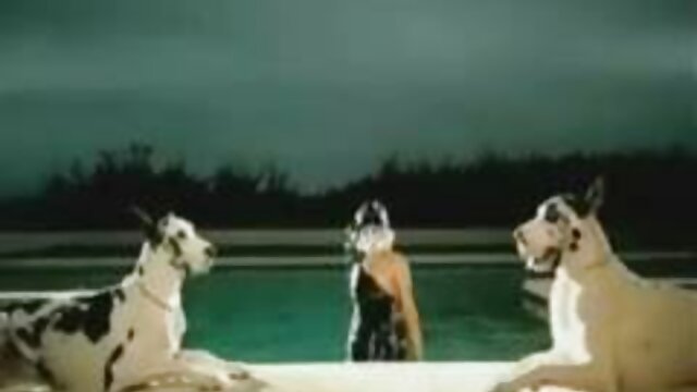 گیک آماتور با عینک خروس متوسط را می دانلود کلیپ سکسی عربی مکد