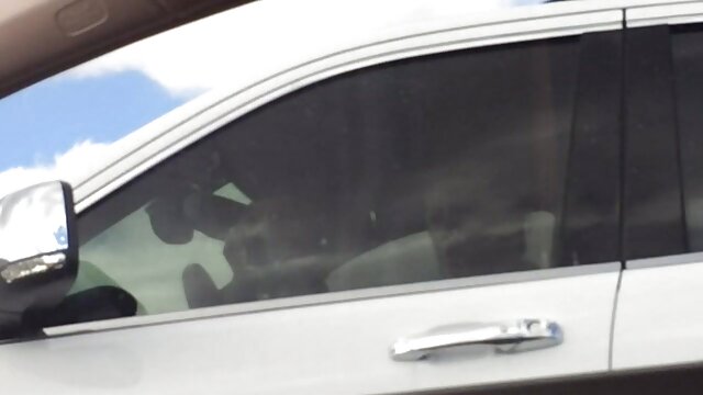 سرحال و گربه کلیپ کم حجم سکسی مثل فردا نه همدیگر را لیس می زنند